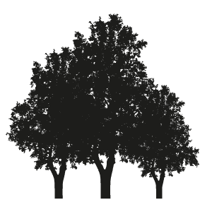 Tree icon