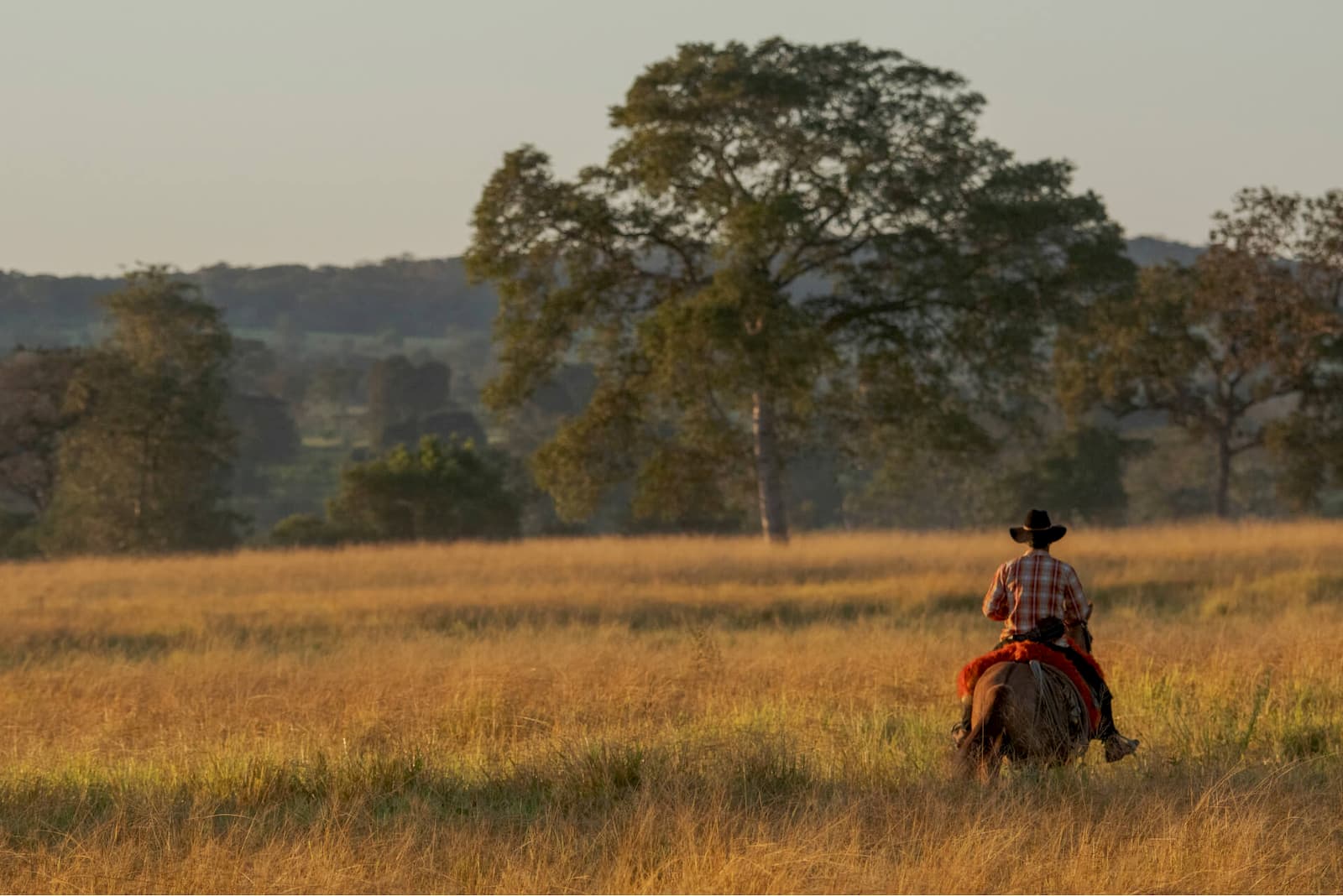 grasslands sustainable beef